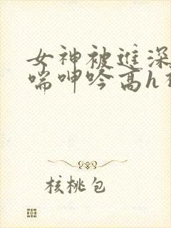 女神被进深处娇喘呻吟高h视频封面