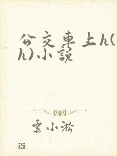 公交车上h(高h)小说