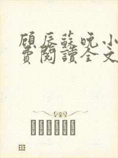 顾辰苏晚小说免费阅读全文最新章节