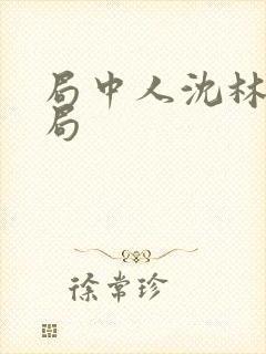 局中人沈林的结局