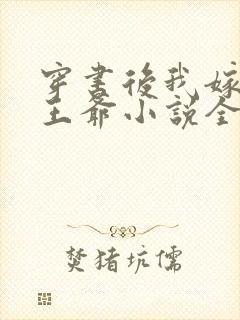 穿书后我嫁给傻王爷小说全集封面