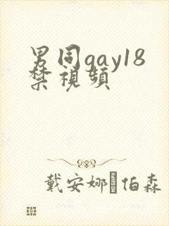 男同gay18禁视频