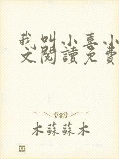 我叫小喜小说全文阅读免费
