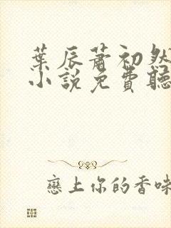 叶辰萧初然有声小说免费听
