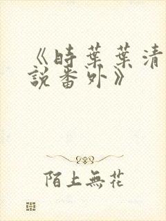 《时叶叶清舒小说番外》