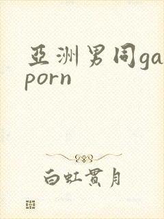 亚洲男同gayporn