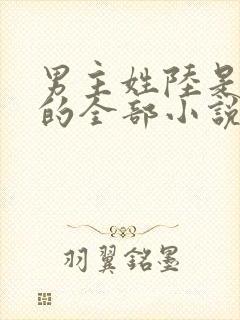 男主姓陆是总裁的全部小说封面