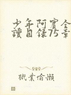 少年阿宾全文阅读目录75章笔趣阁