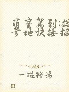 萌宝驾到:总裁爹地快接招