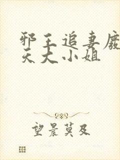 邪王追妻废材逆天大小姐