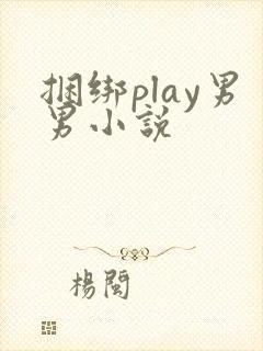 捆绑play男男小说