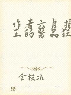 作者六月 摄政王的医品狂妃