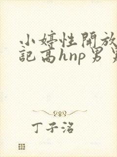 小婷性开放肉日记高hnp男男