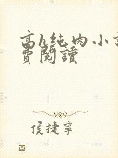 高h纯肉小说免费阅读