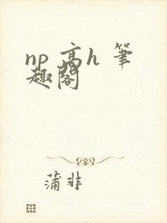 np 高h 笔趣阁封面