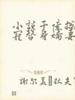 小说千亿总裁独宠替身娇妻完整版未删减小说