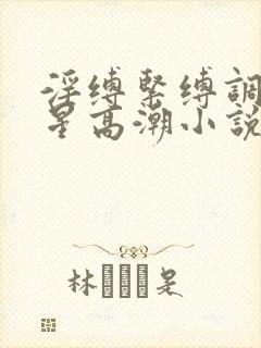 淫缚紧缚调教明星高潮小说