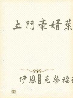 上门豪婿叶凡封面