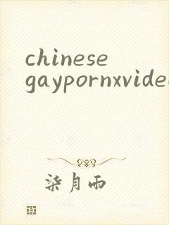 chinesegaypornxvideos
