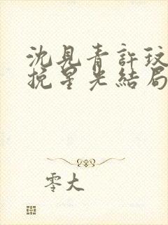 沈见青许玟玟再挽星光结局