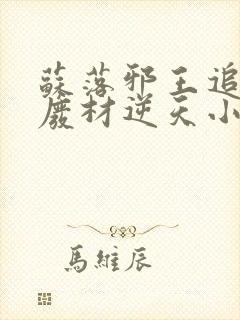 苏落邪王追妻:废材逆天小姐字数