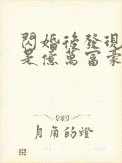 闪婚后发现老公是亿万富豪(小说)