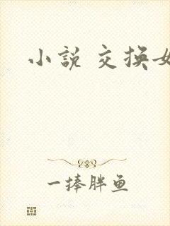 小说 交换女友封面