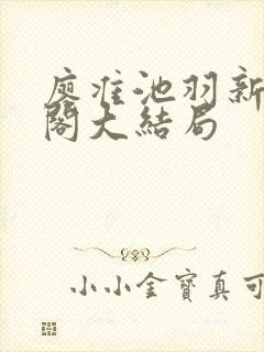 廖准池羽新笔趣阁大结局