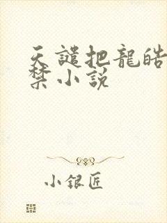 天谴把龙皓晨囚禁小说封面