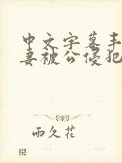 中文字幕丰满人妻被公侵犯封面