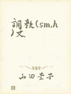 调教(sm,h)文封面
