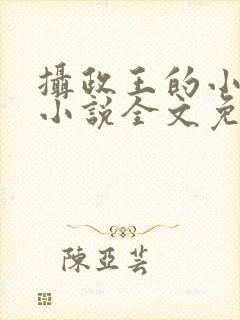 摄政王的小狼妃小说全文免费阅读封面