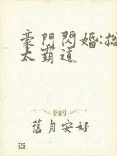 豪门闪婚:总裁太霸道
