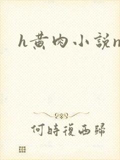 h黄肉小说np