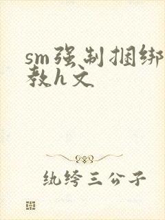 sm强制捆绑调教h文