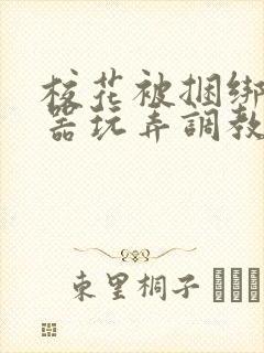 校花被捆绑用性器玩弄调教封面