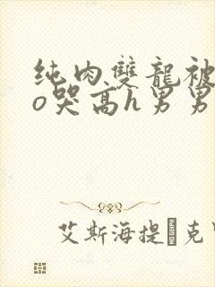 纯肉双龙被cao哭高h男男视频