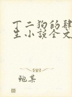 丁二狗的肆意人生小说全文无删减