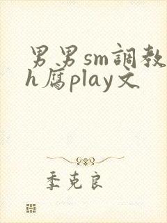 男男sm调教高h腐play文