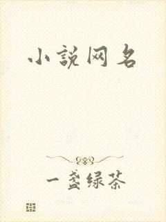 小说网名