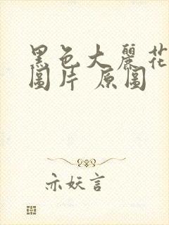 黑色大丽花真实图片 原图