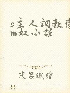 s主人调教惩罚m奴小说