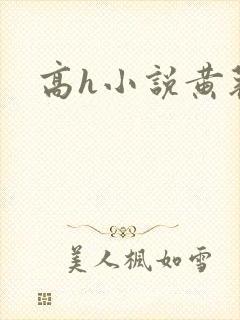 高h小说黄蓉