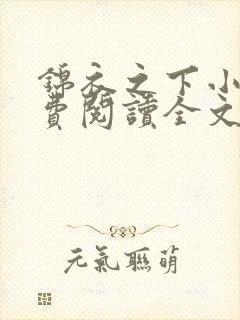 锦衣之下小说免费阅读全文无删减