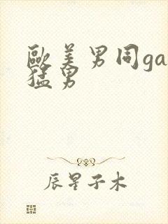 欧美男同gay猛男