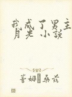我成了男主的白月光 小说