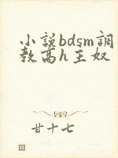 小说bdsm调教高h主奴