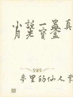 小说一蛊真人之月光宝盒