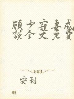 顾少宠妻成瘾小说全文免费阅读全文