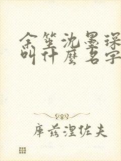 余笙沈墨琛小说叫什么名字封面